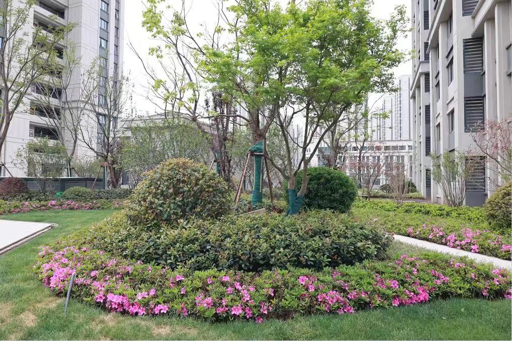 交通便当、配套齐全，，824套包管房即将交付！