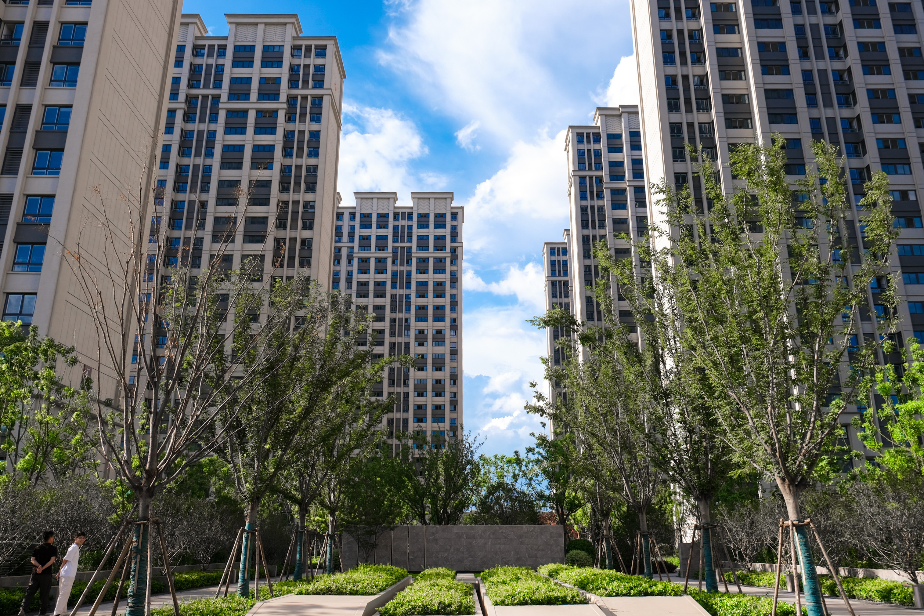 台风过境，，，，这一大波民生项目be like（图说包管房）