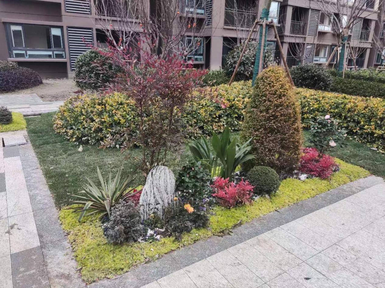 雄州2551套包管房基本完工