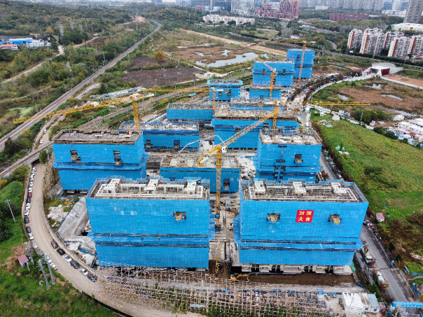 壹号娱乐app官网(中国)官方版下载