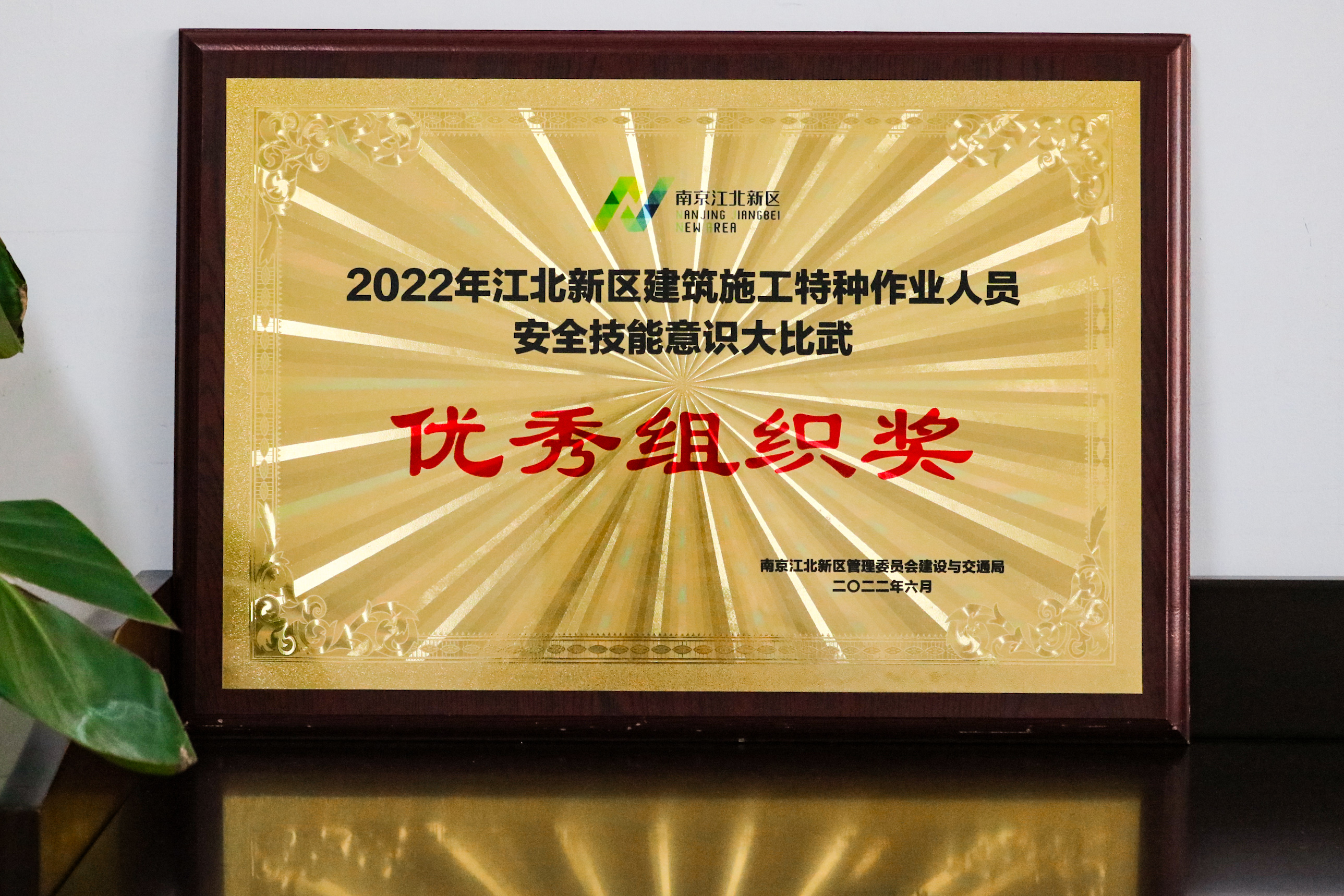 壹号娱乐app官网(中国)官方版下载