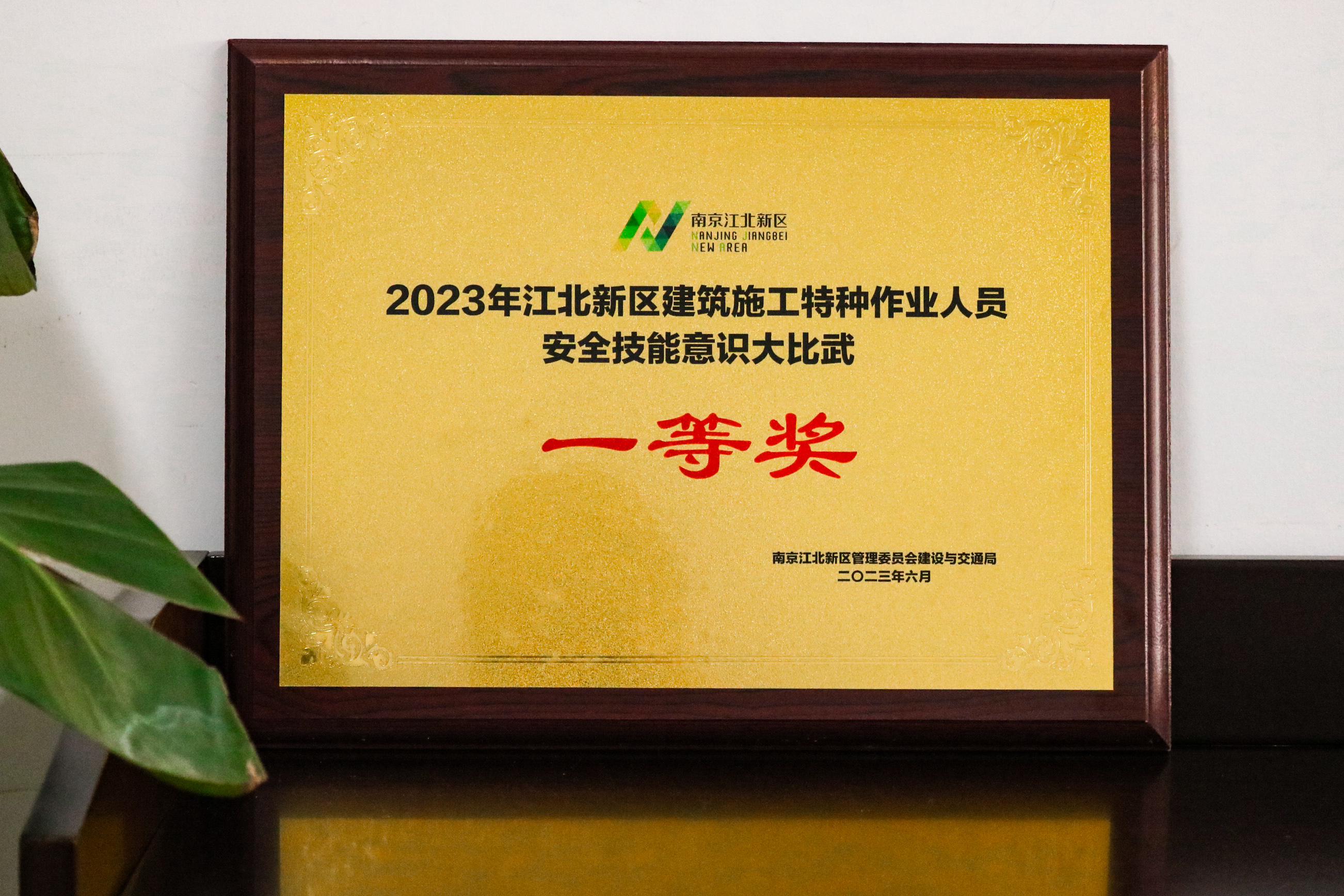 壹号娱乐app官网(中国)官方版下载