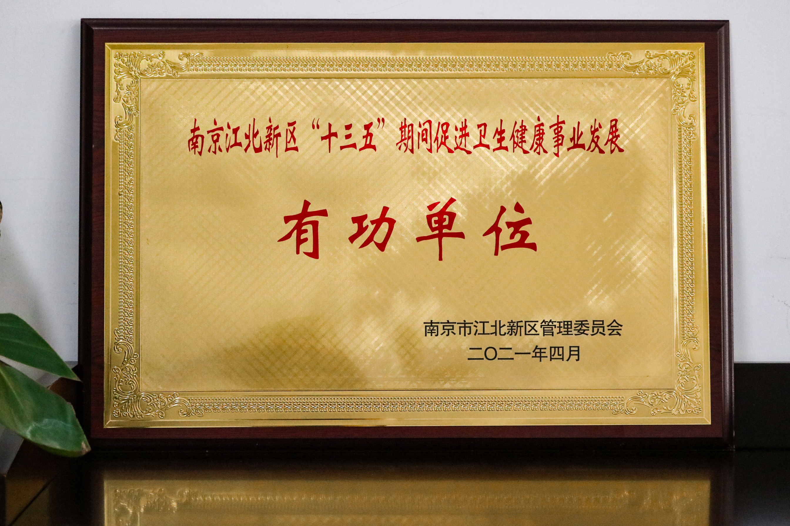 壹号娱乐app官网(中国)官方版下载